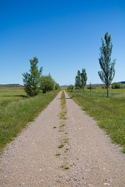 Foto perspectiva de un largo camino por recorrer constancia y logros