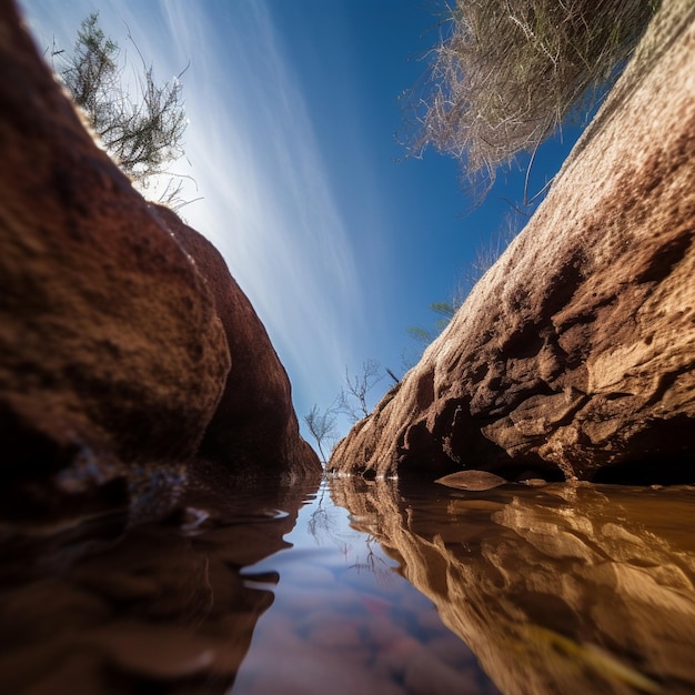 Perspectivas creativas del paisaje natural.