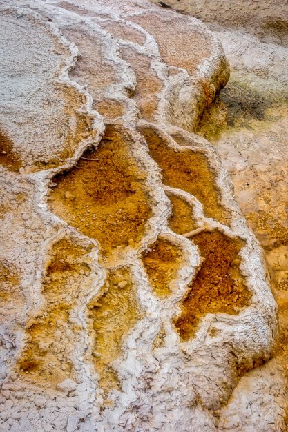 Perto de Mammoth Hot Springs