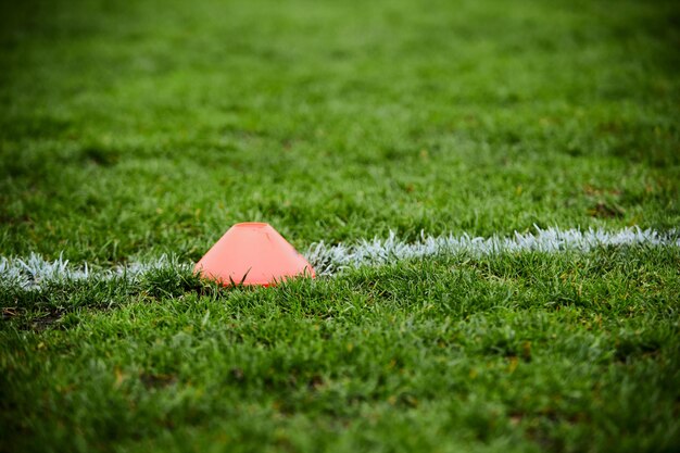 perto de um campo de futebol com grama fresca