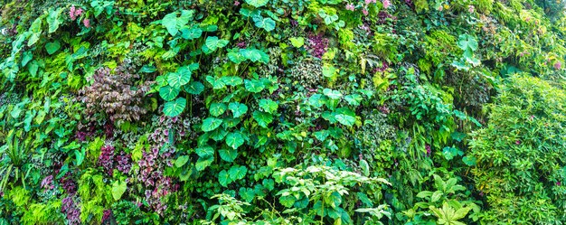 Perto de um jardim com folhas e flores verdes tropicais