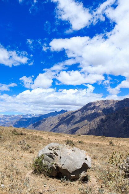 Perú