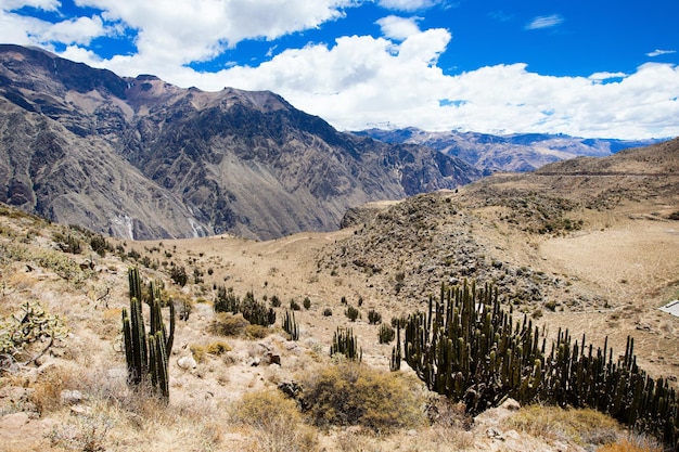 Perú