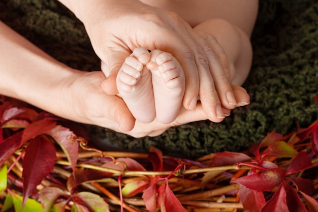 Foto pés de bebê recém-nascido nas mãos da mãe. mãe fazendo massagem para seu filho. fechar imagem com decoração de outono de folhas de uvas de solteira