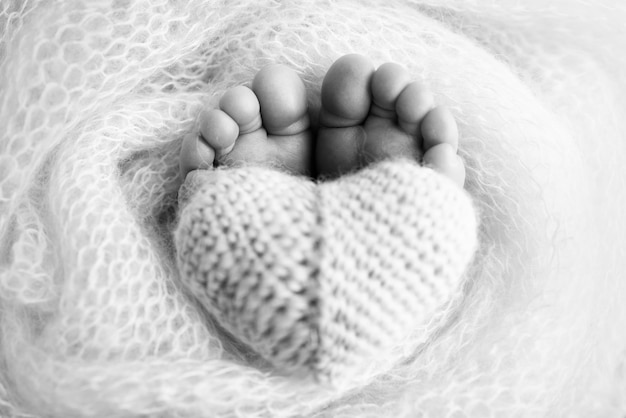 Pés de um recém-nascido closeup em um cobertor de lã Preparação da maternidade da gravidez e expectativa da maternidade o conceito do nascimento de uma criança Fotografia em preto e branco