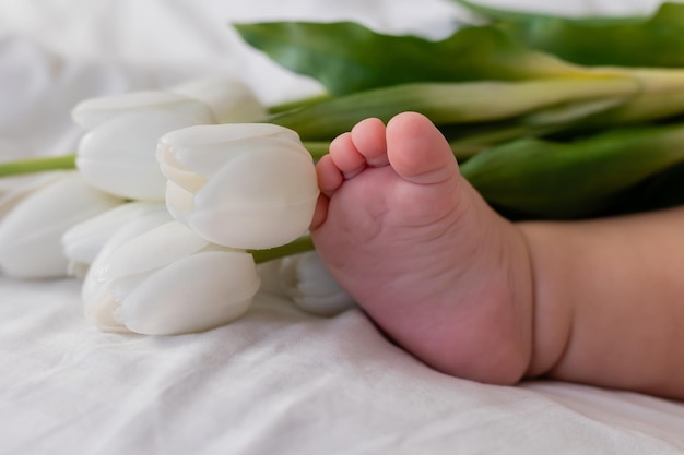 Pés descalços de um bebê em closeup de tulipas