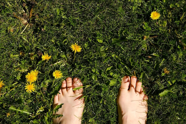 Pés descalços na grama verde com dentes de leão Uma garota fica em um gramado verde jovem