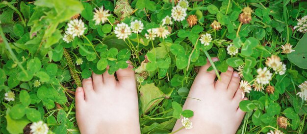 Pés do bebê com os pés descalços na grama verde