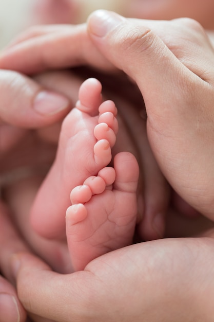 Pés pequenos de um recém-nascido nas mãos dos pais