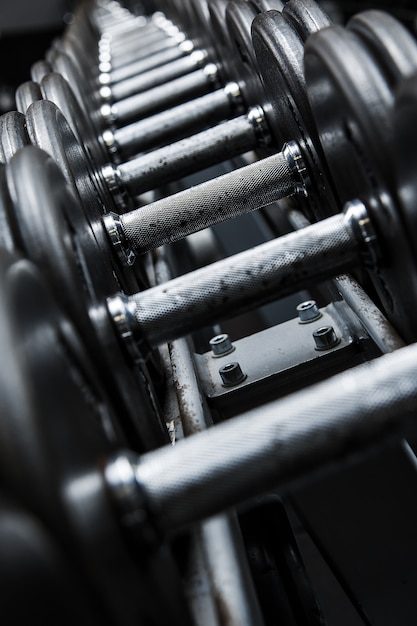 Pesas en el gimnasio