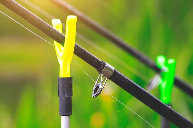 Pesca com varas na pesca de verão do lago