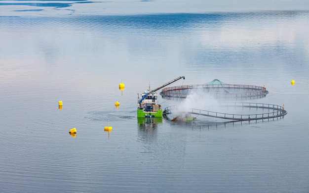 Pesca de salmão em fazenda na Noruega. A Noruega é o maior produtor de salmão de viveiro do mundo, com mais de um milhão de toneladas produzidas a cada ano.