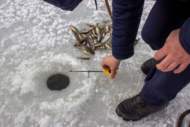 Pesca de invierno. Pescado en hielo.