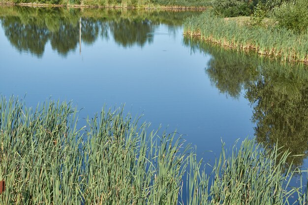 Pesca en el lago. Reflexión en el agua. Centro de recreacion. Agosto de 2021.