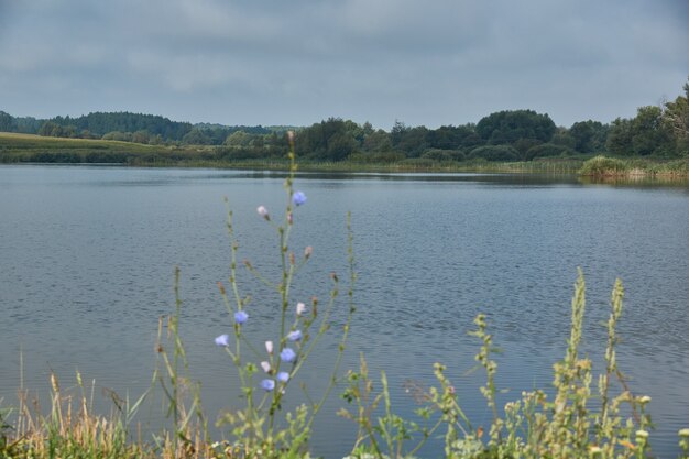 Pesca en el lago. Reflexión en el agua. Centro de recreacion. Agosto de 2021.