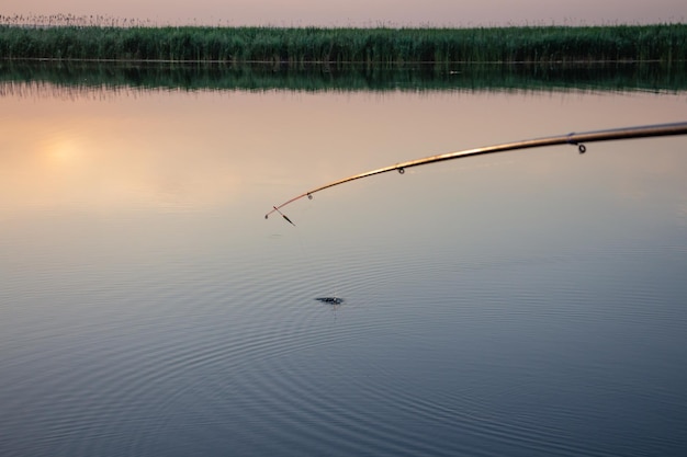 Pesca na vara de pesca do rio flutua na superfície da água