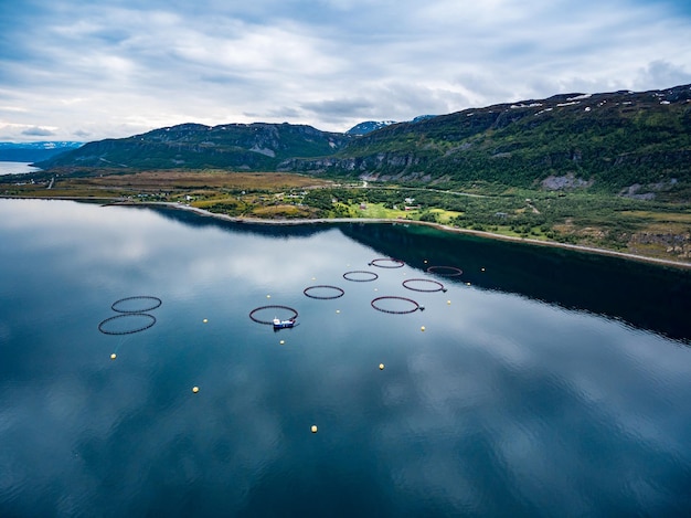 Pesca de salmón de granja en fotografía aérea de Noruega.