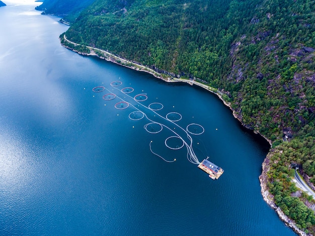 Pesca de salmón de granja en fotografía aérea de Noruega.