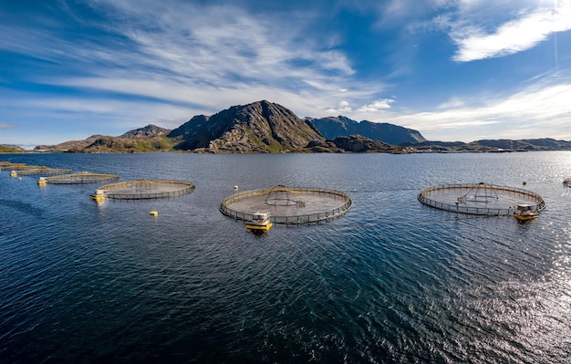 Pesca de salmón de granja en Noruega. Noruega es el mayor productor de salmón de piscifactoría del mundo, con más de un millón de toneladas producidas cada año.