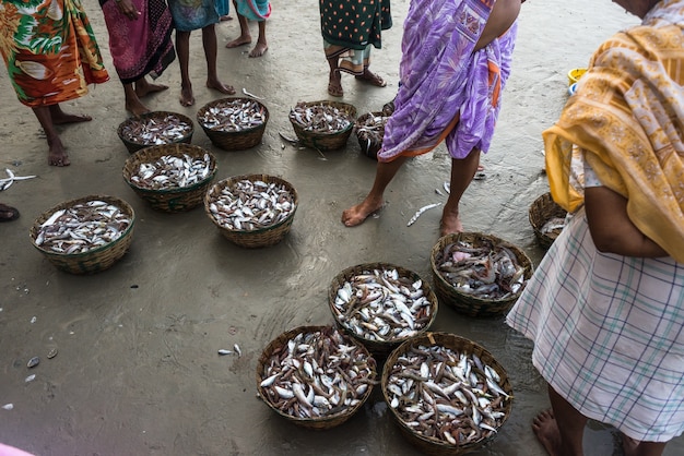 Foto pesca tradicional índia