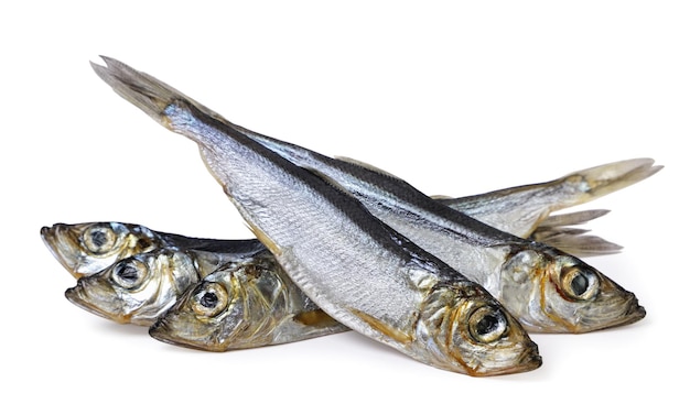 Foto pescado de arenque seco sobre un fondo blanco aislado