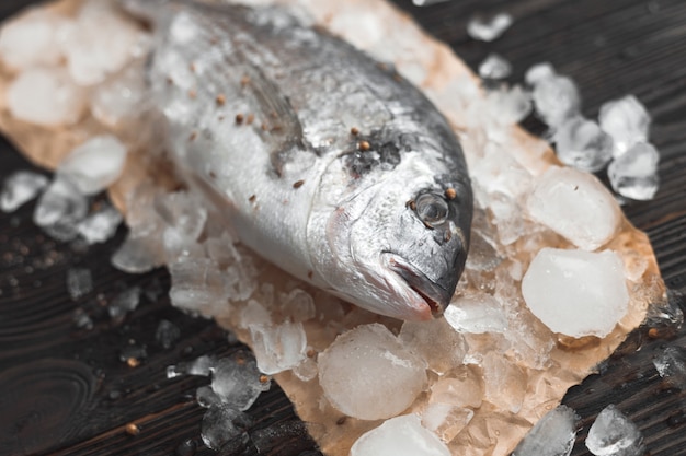 Pescado crudo dorada o dorada sobre hielo sobre superficie de madera negra.