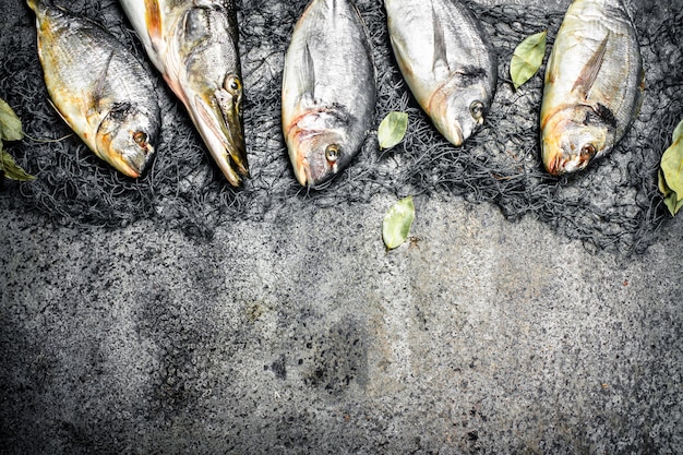 Pescado crudo dorado con chiles picantes