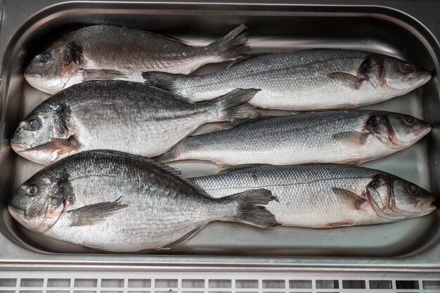 Pescado crudo fresco de dorado y lubina en el supermercado