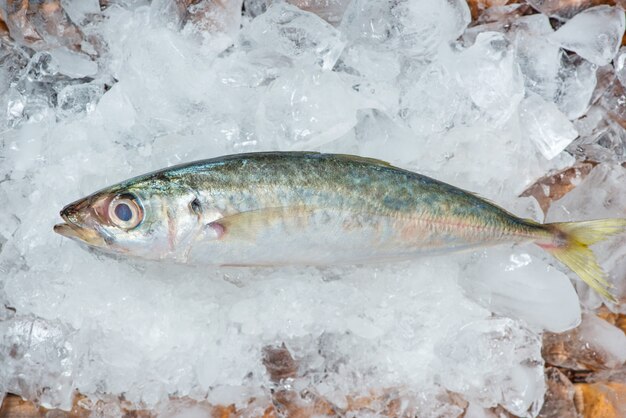 Pescado crudo fresco en hielo sobre una mesa de madera.