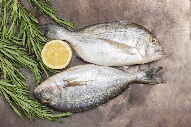 Foto pescado crudo con ramas de limón y romero