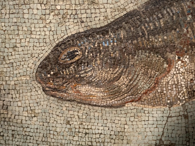 Pescado de detalle de mosaico romano antiguo