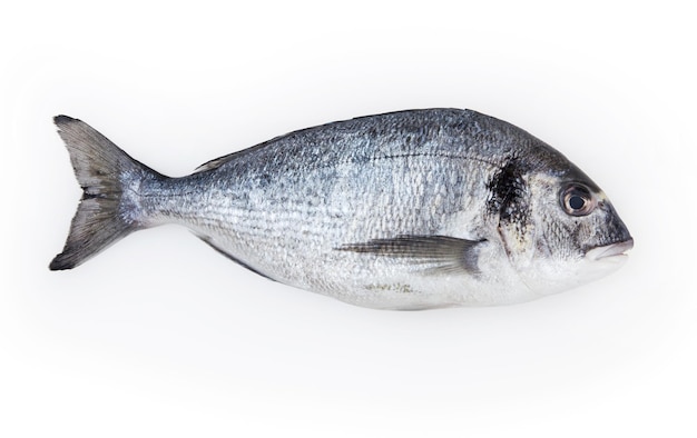 Pescado dorado aislado sobre fondo blanco con trazado de recorte