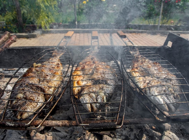 Pescado dorado marino a la parrilla de carbón