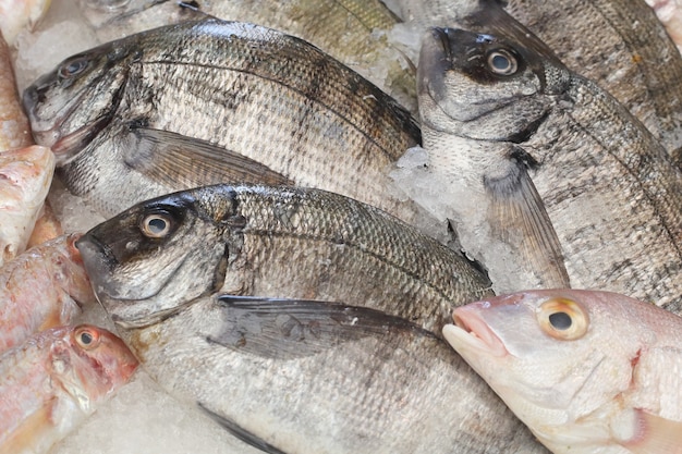 Pescado dorado en el mercado