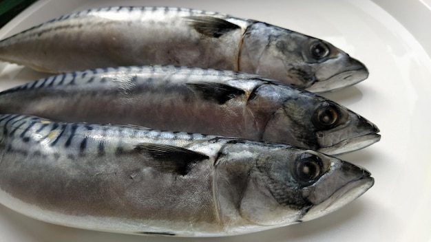 Pescado fresco con cabeza sobre un fondo claro Se trajeron tres pescados de la tienda y estaban listos para cortar Mariscos