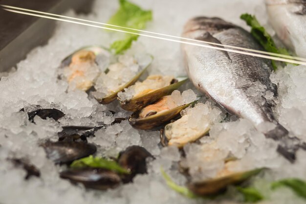 Pescado fresco crudo escalofriante en cama de hielo frío en puesto de mercado de mariscos