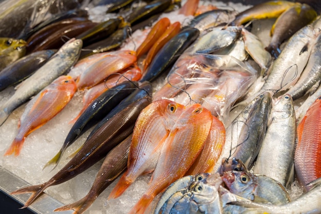 Pescado fresco y crudo vendido en el mercado húmedo