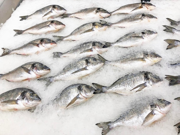 El pescado fresco se exhibe en un supermercado