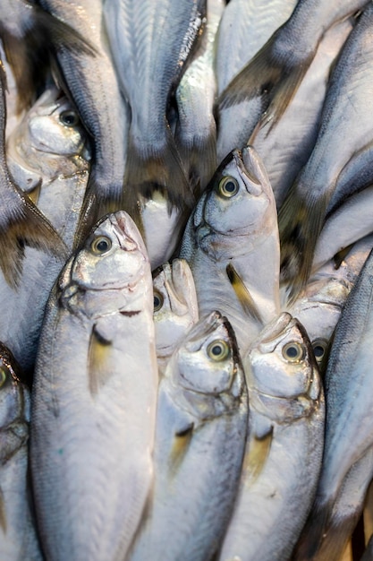 Pescado fresco listo para la venta en el mostrador del pescador