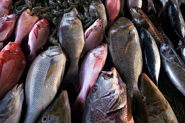 Pescado fresco en el mercado de cerca