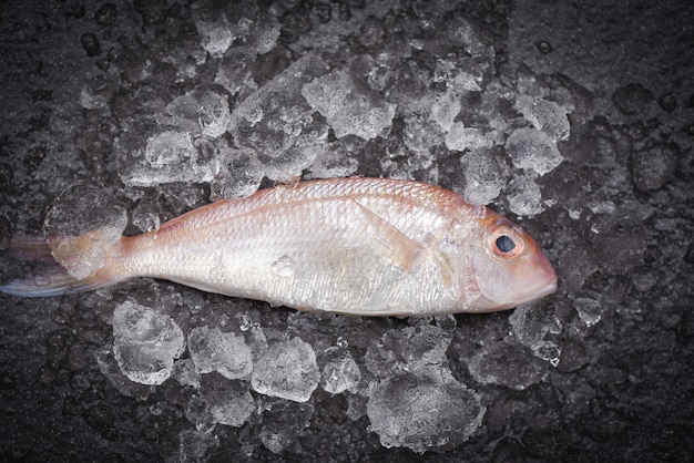 Pescado fresco en el mercado de hielo