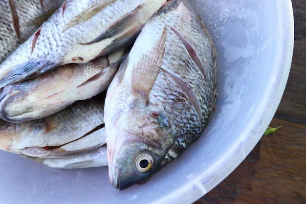 pescado fresco en el mercado