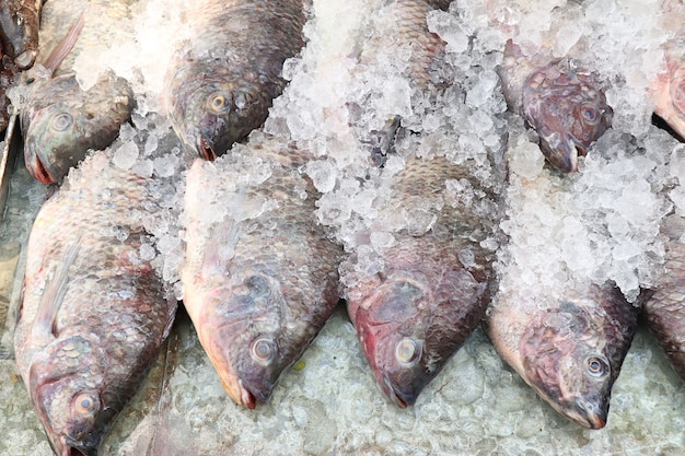 pescado fresco en el mercado