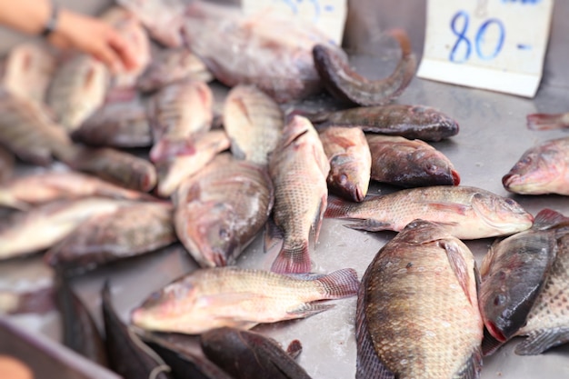 Pescado fresco en el mercado.