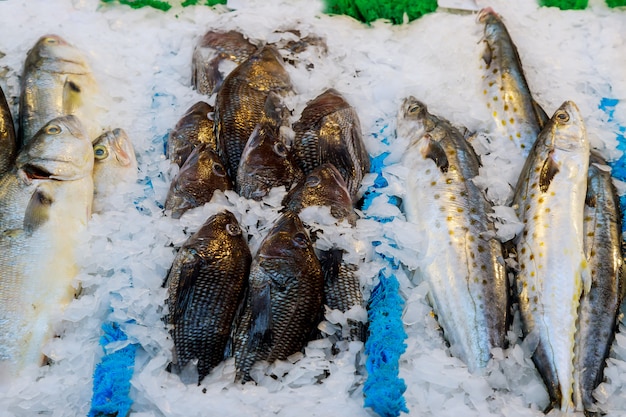 Pescado fresco en un mercado