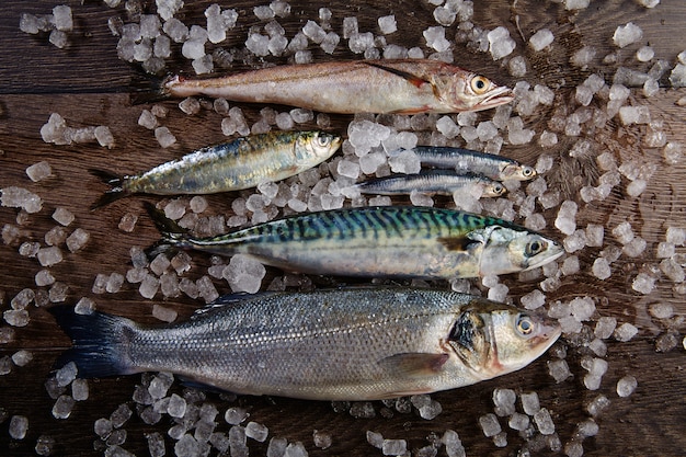 Pescado fresco merluza lubina sardina caballa anchoas