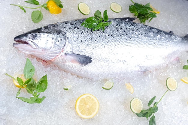 pescado fresco rojo y blanco del mar, se encuentra sobre hielo, con su cabeza, cereza, rodajas de limón y lima son