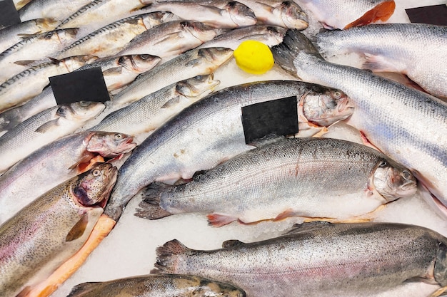 El pescado fresco para la venta se encuentra en hielo en una tienda