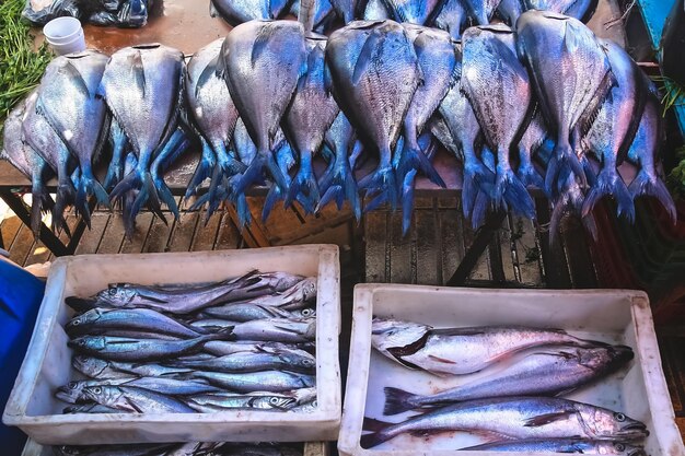 Pescado fresco a la venta en un mercado callejero en Valparaíso