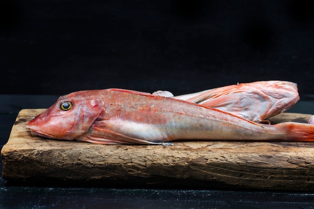 Pescado De Gurnard Rojo